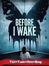 Before I Wake (2016) BRRip Original [Telugu + Tamil + Hindi + Eng] Dubbed Movie Watch Online Free