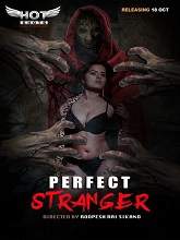 Perfect Stranger (2020) HDRip Hindi Full Movie Watch Online Free